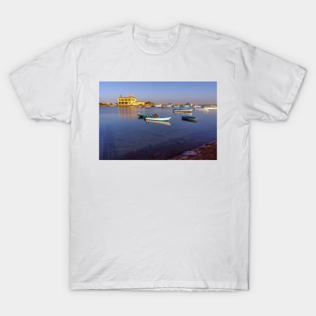 Seaside Resort T-Shirt by likbatonboot
